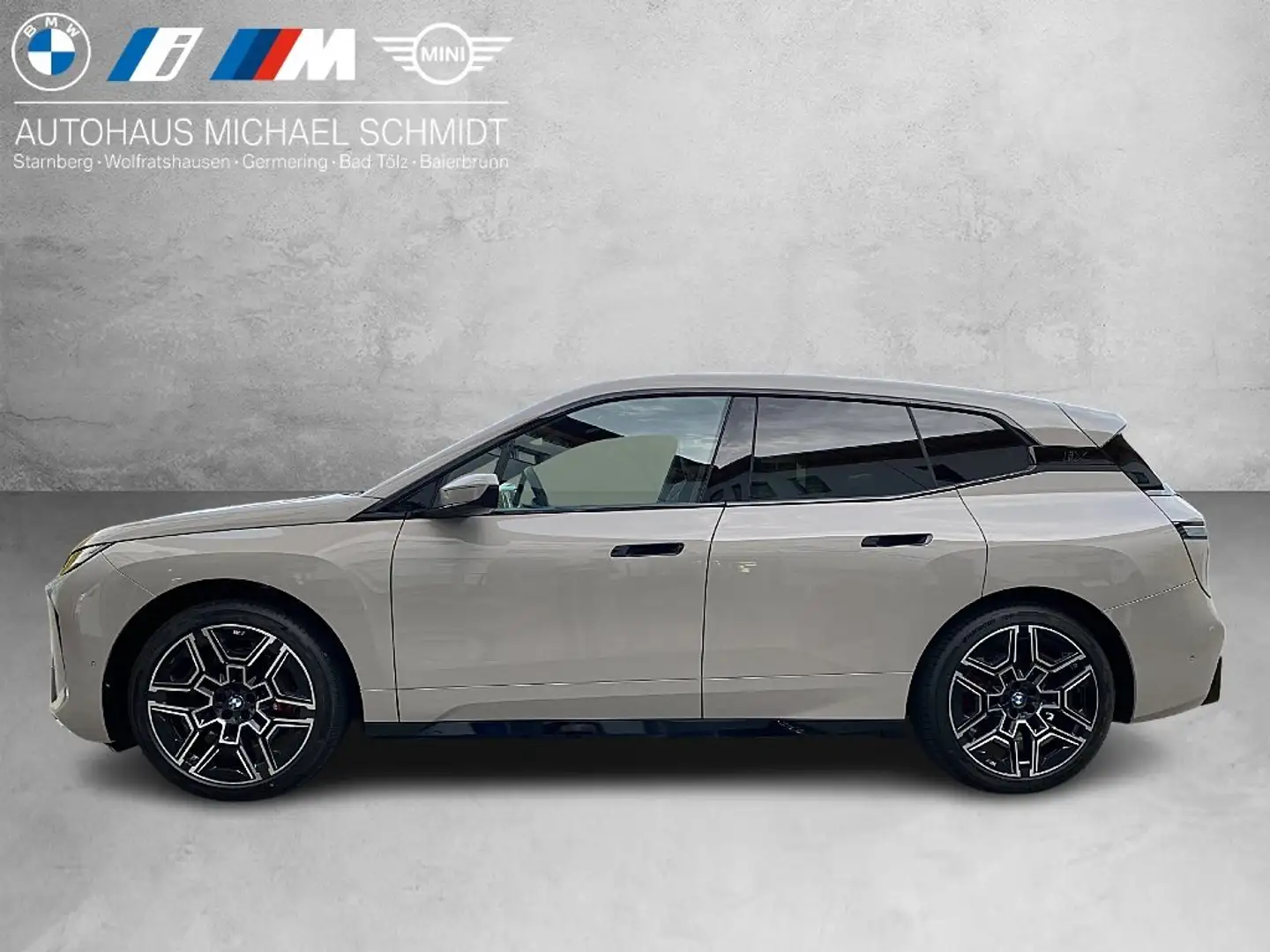 BMW iX xDrive45 M Sportpaket HK HiFi DAB LED Grigio - 2