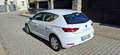 SEAT Leon 1.6TDI CR S&S Reference Plus 115 Blanco - thumbnail 23
