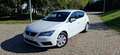 SEAT Leon 1.6TDI CR S&S Reference Plus 115 Blanco - thumbnail 7