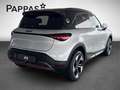 smart #1 BRABUS Totw PTS Park-Assist Distr Cam Keyl Silber - thumbnail 6