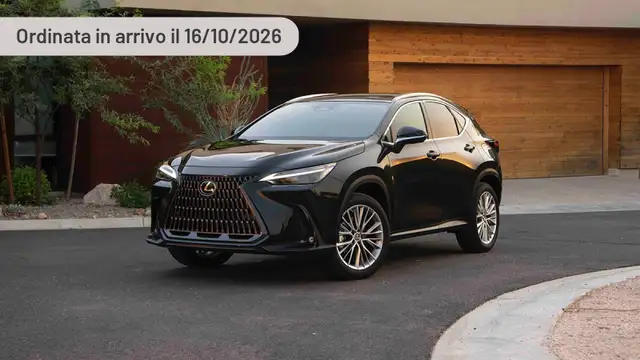 Lexus NX 450h+ NX 300h
