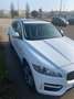 Jaguar F-Pace F-Pace 2015 2.0d i4 R-Sport awd 240cv auto my18 Bianco - thumbnail 5