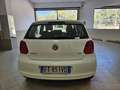 Volkswagen Polo 5p 1.2 tdi Comfortline - thumbnail 6