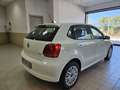 Volkswagen Polo 5p 1.2 tdi Comfortline - thumbnail 7
