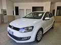 Volkswagen Polo 5p 1.2 tdi Comfortline - thumbnail 3