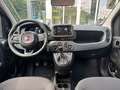 Fiat Panda 1.0 Hybrid MY'25 + City Paket *PDC hi*ZV*Bluetooth Bleu - thumbnail 6