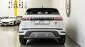 Land Rover Range Rover Evoque 2.0D 163CV Mhev IVA ESPOSTA I4 AWD Auto SE Blanc - thumbnail 4