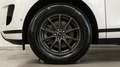 Land Rover Range Rover Evoque 2.0D 163CV Mhev IVA ESPOSTA I4 AWD Auto SE Blanc - thumbnail 9