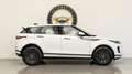 Land Rover Range Rover Evoque 2.0D 163CV Mhev IVA ESPOSTA I4 AWD Auto SE Blanc - thumbnail 6