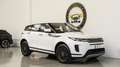 Land Rover Range Rover Evoque 2.0D 163CV Mhev IVA ESPOSTA I4 AWD Auto SE Blanc - thumbnail 7