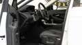 Land Rover Range Rover Evoque 2.0D 163CV Mhev IVA ESPOSTA I4 AWD Auto SE Blanc - thumbnail 22
