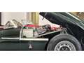 Jaguar D-Type TYPE D REPLICA Verde - thumbnail 17
