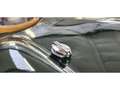 Jaguar D-Type TYPE D REPLICA Verde - thumbnail 34