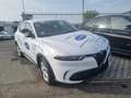 Alfa Romeo Tonale 1.6 Sprint 130cv tct6 Bianco - thumbnail 3