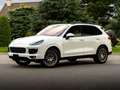 Porsche Cayenne //*Diesel Platinum Edition *PANO+PELLE+AUTOMATICO* Bianco - thumbnail 1