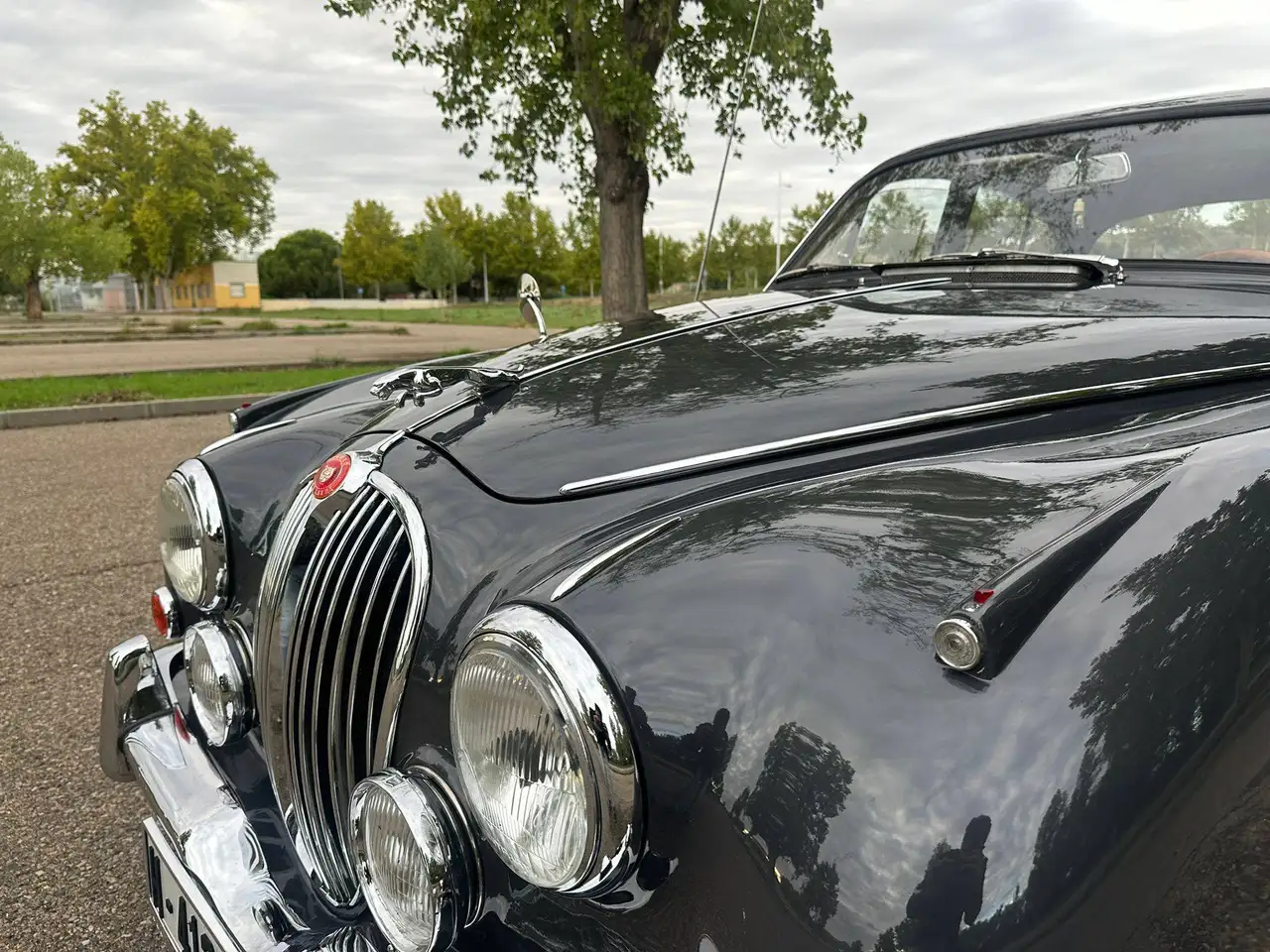 Jaguar MK II Unidad nacional. LHM. Tapicería Cuero Rojo. Culata Straighpost. 4 marchas + Oberdriver + D.., foto 11