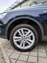 Audi Q7 Q7 3.0 tdi ultra Business Plus quattro tiptronic Blu/Azzurro - thumbnail 6