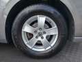 Volkswagen Polo 1,0 TSI Grau - thumbnail 14