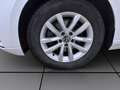 Volkswagen Passat Variant 2.0 TDI DSG BUSINESS AHK KAMERA PDC SITZHZG Weiß - thumbnail 8