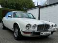 Jaguar XJ XJ6 sehr elegant H-Kennz. bijela - thumbnail 6