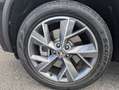Skoda Kodiaq Sportline 4x4 DSG 2,0-TSI erst 29Tkm LED Schwarz - thumbnail 19