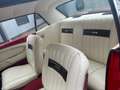 Ford Mustang 289 V8 Coupe Rood - thumbnail 4