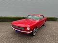 Ford Mustang 289 V8 Coupe Rood - thumbnail 1
