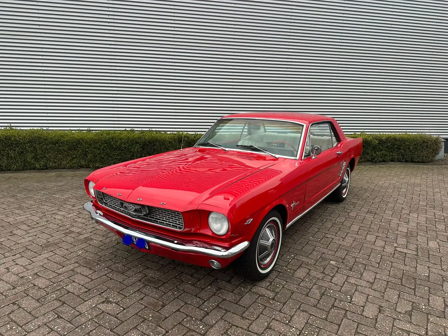 Ford Mustang 289 V8 Coupe Rood - 1