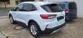 Ford Kuga 2,5 PHEV  Titanium Blanc - thumbnail 5