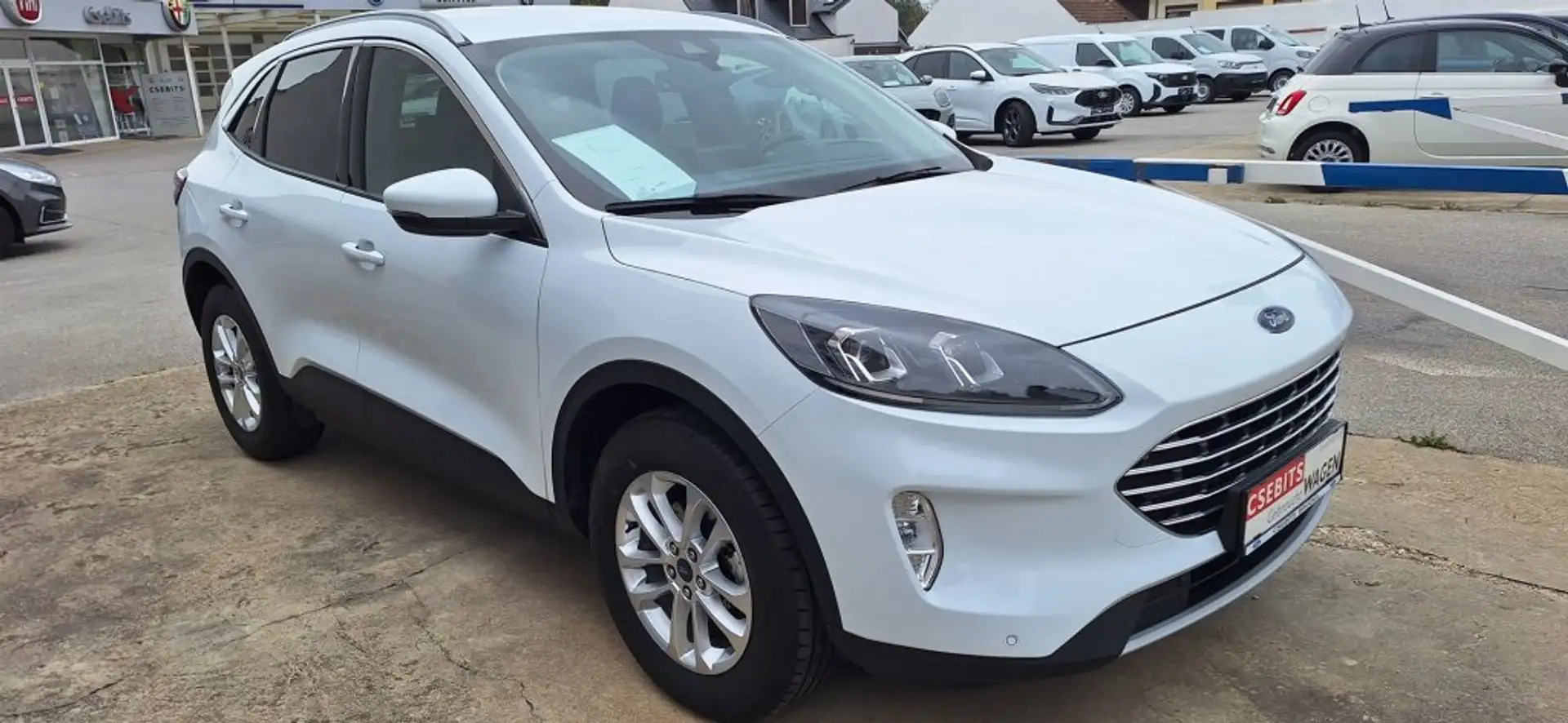 Ford Kuga 2,5 PHEV  Titanium Weiß - 2