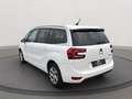 Citroen Grand C4 SpaceTourer Feel 1.2 7-Sitzer AHK ALLWETTER PDC KLIMAAT DAB Weiß - thumbnail 3