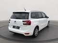 Citroen Grand C4 SpaceTourer Feel 1.2 7-Sitzer AHK ALLWETTER PDC KLIMAAT DAB Weiß - thumbnail 5
