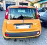 Fiat Panda Panda 1.2 Lounge 69cv Arancione - thumbnail 5