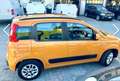 Fiat Panda Panda 1.2 Lounge 69cv Arancione - thumbnail 4