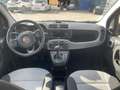 Fiat Panda Panda 1.2 Lounge 69cv Arancione - thumbnail 10