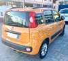 Fiat Panda Panda 1.2 Lounge 69cv Arancione - thumbnail 3