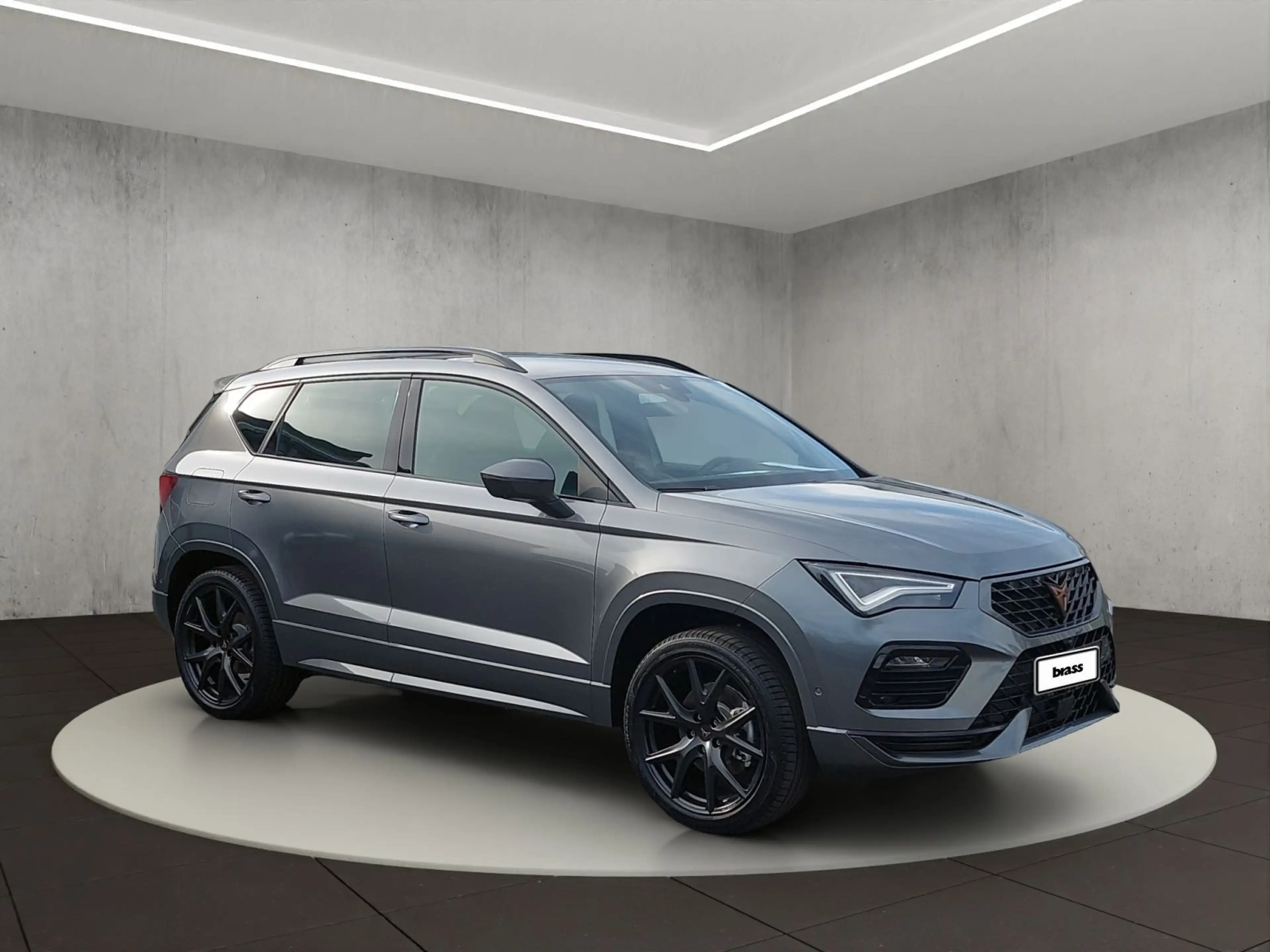 CUPRA Ateca 2.0 TSI 140 kW (190 PS) — photo 7