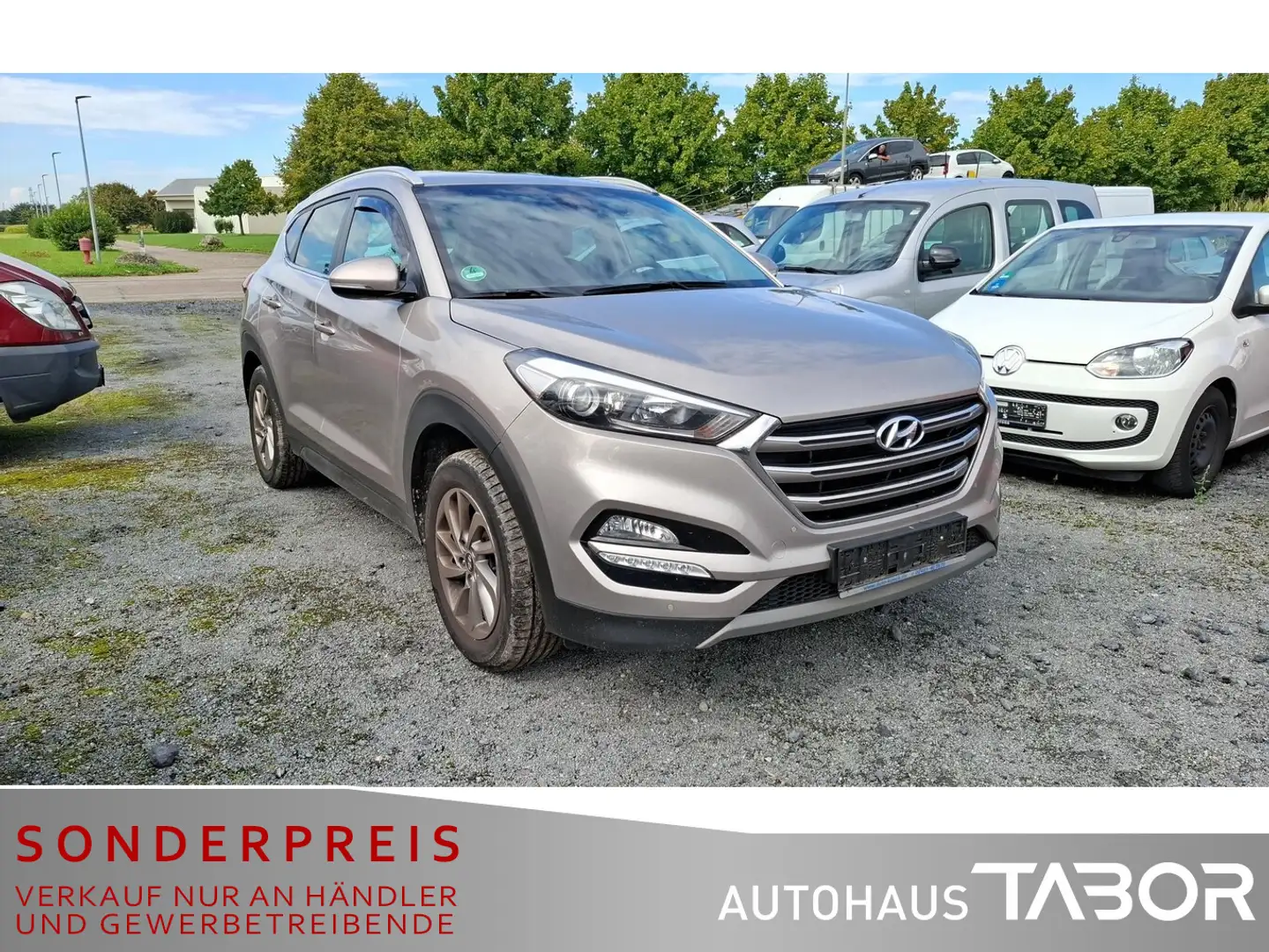 Hyundai TUCSON 1.6 2WD Navi AHK PDC LM Klimaaut. Beige - 2