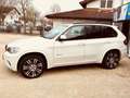 BMW X5 xDrive40d*M-PAKET INNEN AUSSEN*WENIK KM* Weiß - thumbnail 3