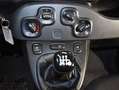 Fiat Panda 1.0 70CV Hybrid Gris - thumbnail 6