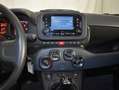 Fiat Panda 1.0 70CV Hybrid Gris - thumbnail 5