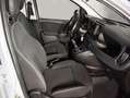 Fiat Panda 1.0 70CV Hybrid Gris - thumbnail 7
