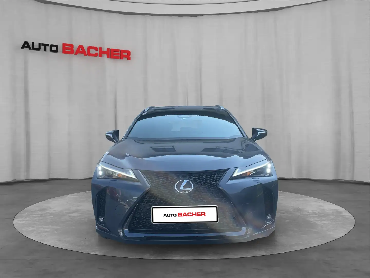 Lexus UX 300h F-Sport Design 199 PS 2WD Grau - 2