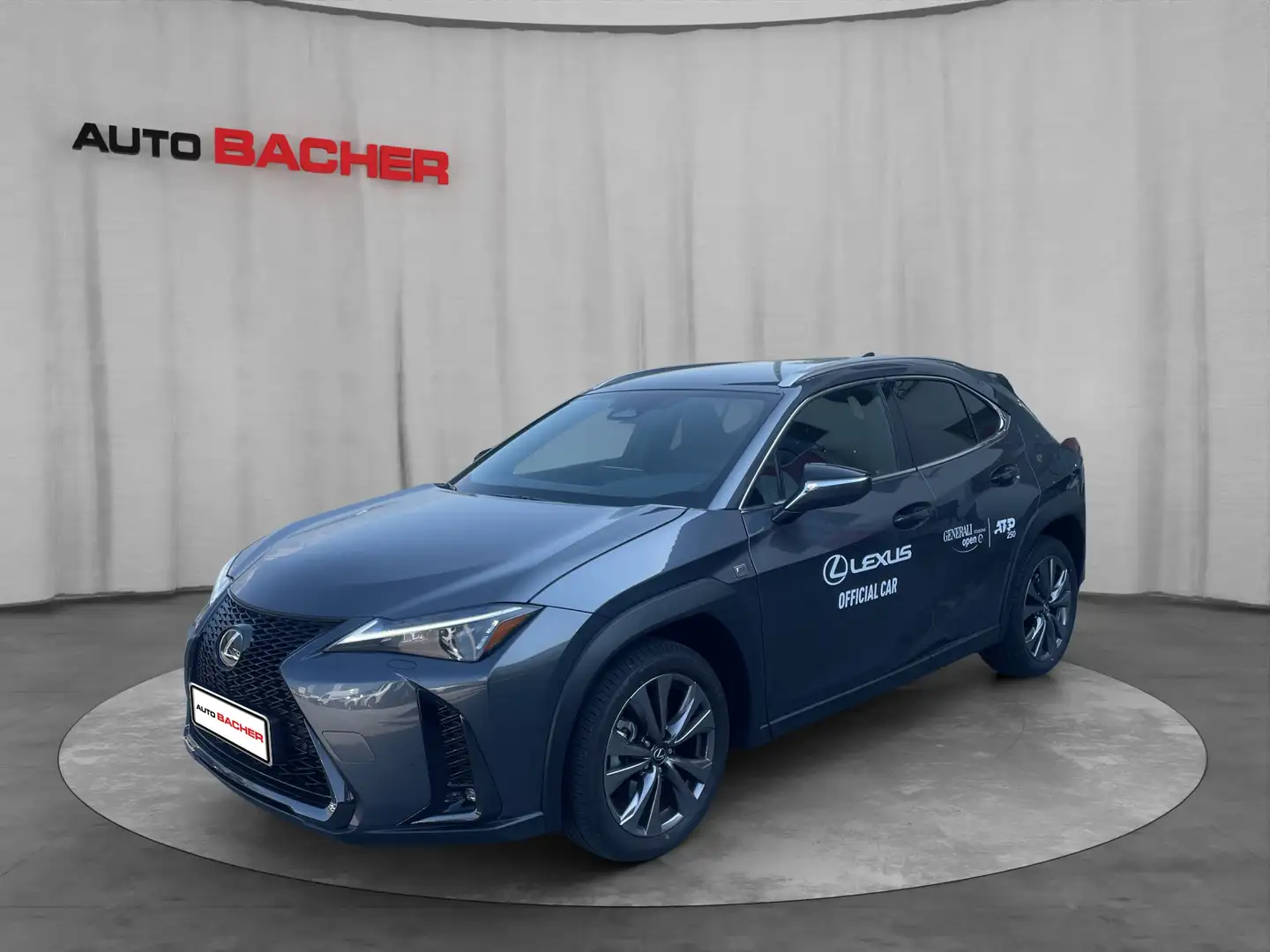 Lexus UX 300h F-Sport Design 199 PS 2WD Grau - 1