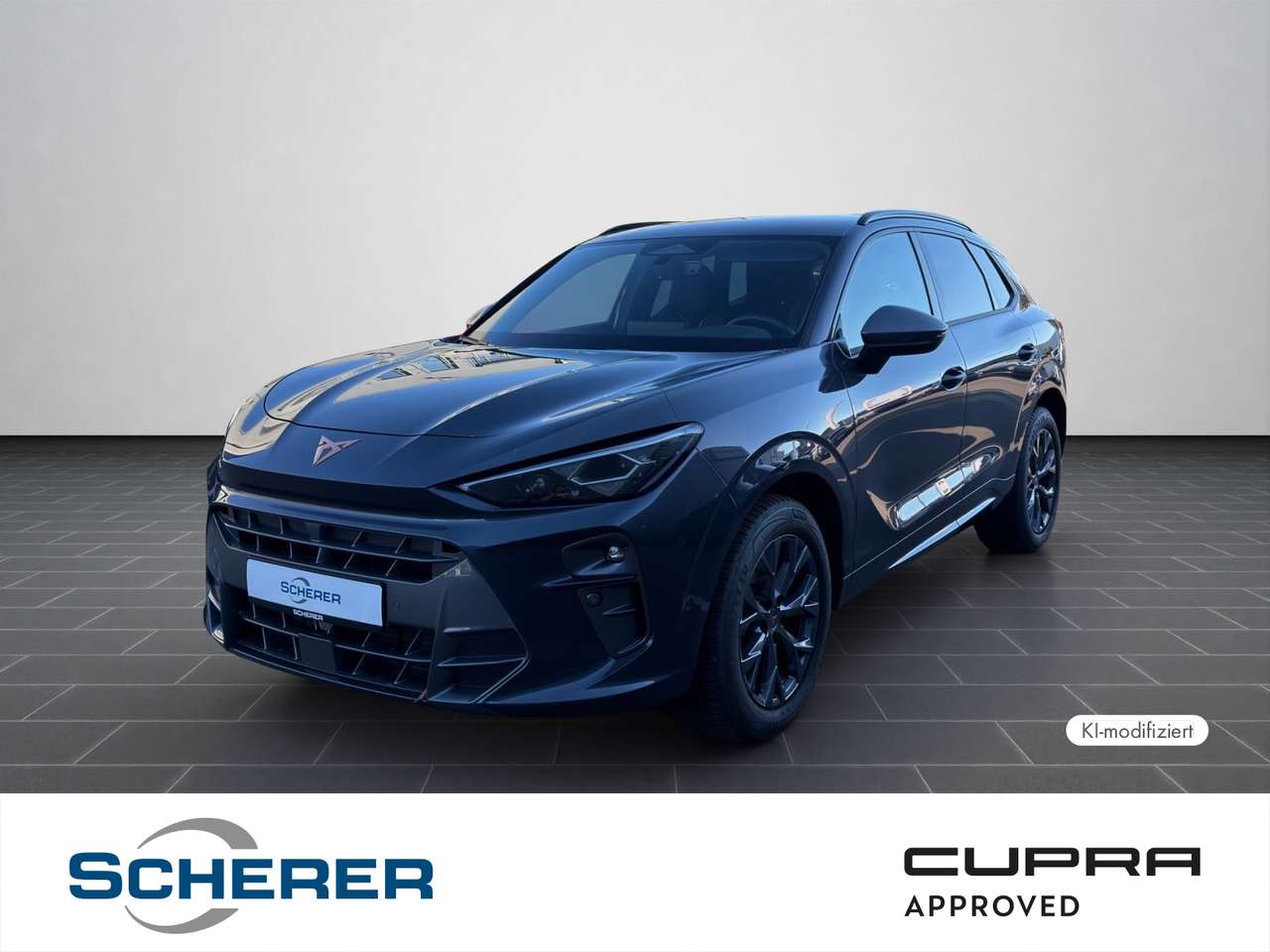 Cupra Terramar — Cupra Terramar 1.5 eTSI DSG MATRIX SENNHEISER