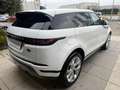 Land Rover Range Rover Evoque Range Rover Evoque 2.0D I4 163 CV AWD Auto SE *N1 White - thumbnail 4