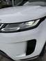 Land Rover Range Rover Evoque Range Rover Evoque 2.0D I4 163 CV AWD Auto SE *N1 White - thumbnail 7