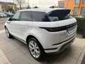 Land Rover Range Rover Evoque Range Rover Evoque 2.0D I4 163 CV AWD Auto SE *N1 White - thumbnail 6