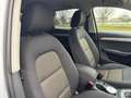 Audi Q3 Q3 2.0 tdi Business Plus quattro 140cv s-tronic Bianco - thumbnail 12