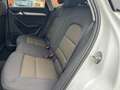 Audi Q3 Q3 2.0 tdi Business Plus quattro 140cv s-tronic Bianco - thumbnail 11